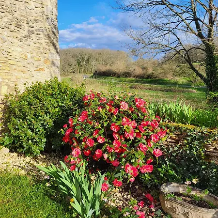 Domaine De Bagnegrole Ferienhaus *