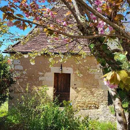 Domaine De Bagnegrole Ferienhaus